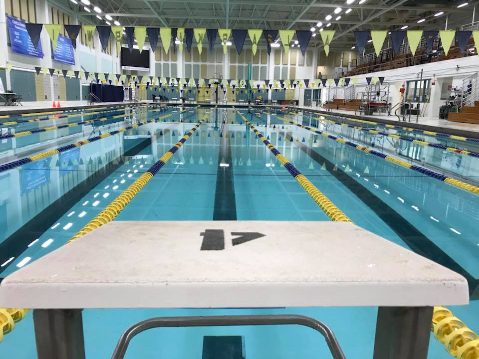 Bartlett Pool seen from Lane 4 in the shallow end 