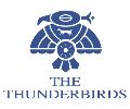 The+Thunderbirds