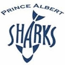 Prince Albert Sharks Swim Club