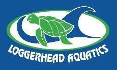 Loggerhead Aquatics