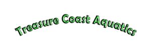 Treasure Coast Aquatics
