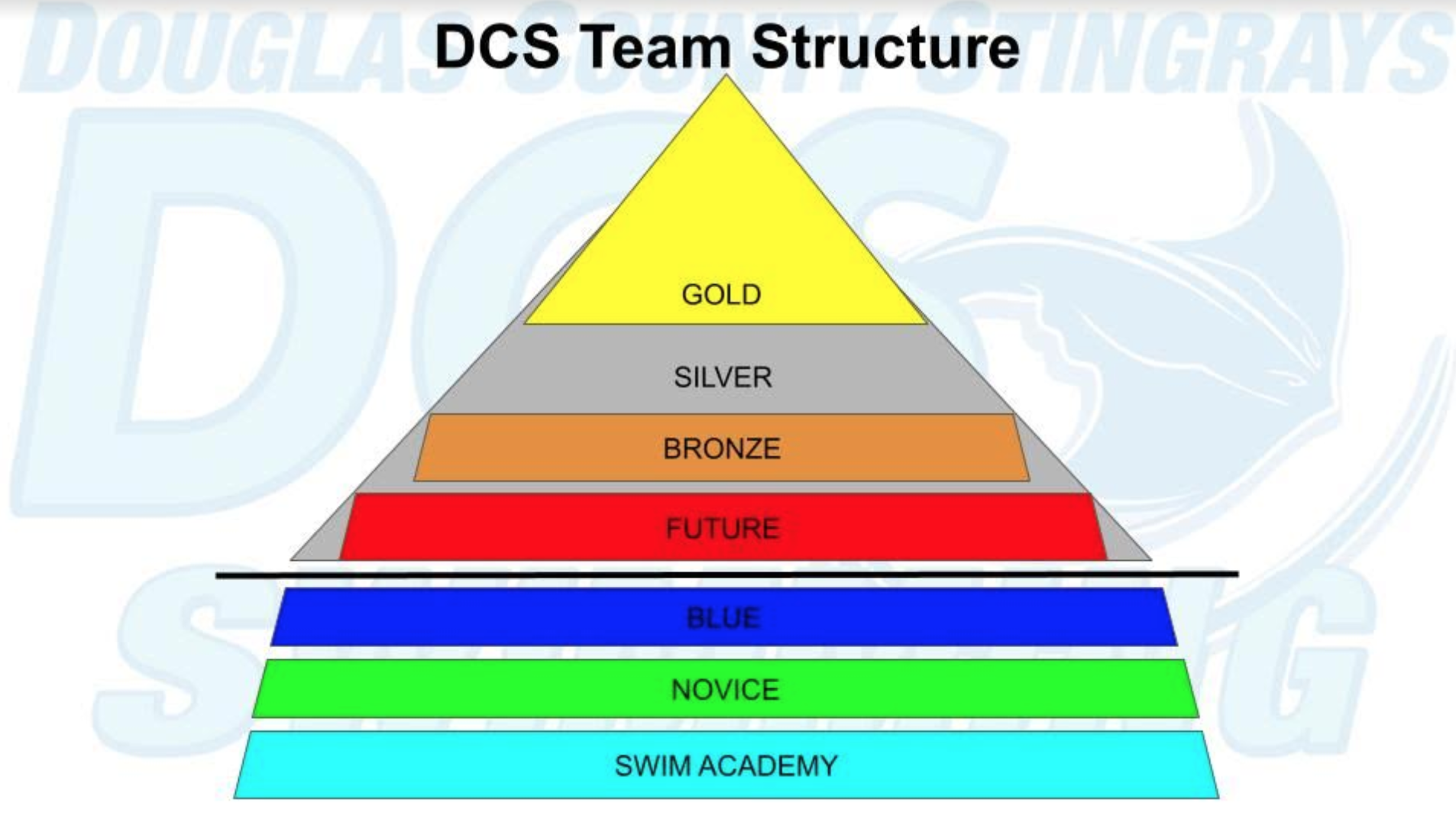 DCS Structure and Paths to Success