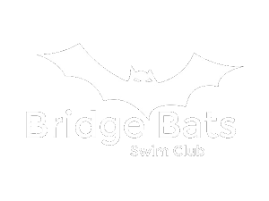 Houston Bridge Bats