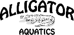 Alligator+Aquatics+-+Swim+Team
