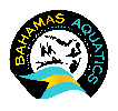 Bahama+Swimming+Federation