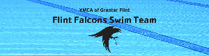 Flint YMCA Falcons