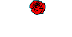 Rose+City+Barbell