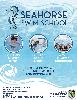 LAC%27s+Seahorse+Swim+School