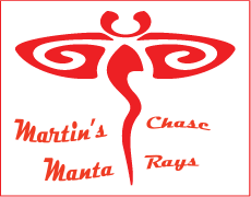 Martin's Chase Manta Rays