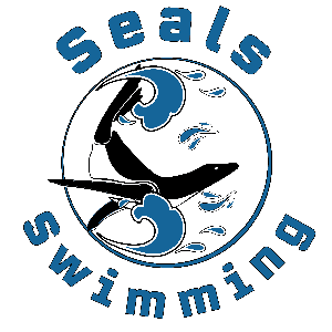 Southbridge Seals Swimming