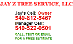 Jay+Z+Tree+Services