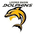 Loomis Basin Dolphins