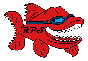 Red Piranha Swimming