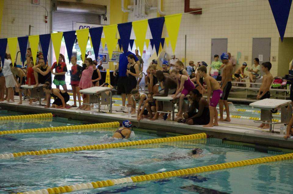 Memphis Tiger YMCA Swimming : News