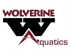 Wolverine Aquatics Club