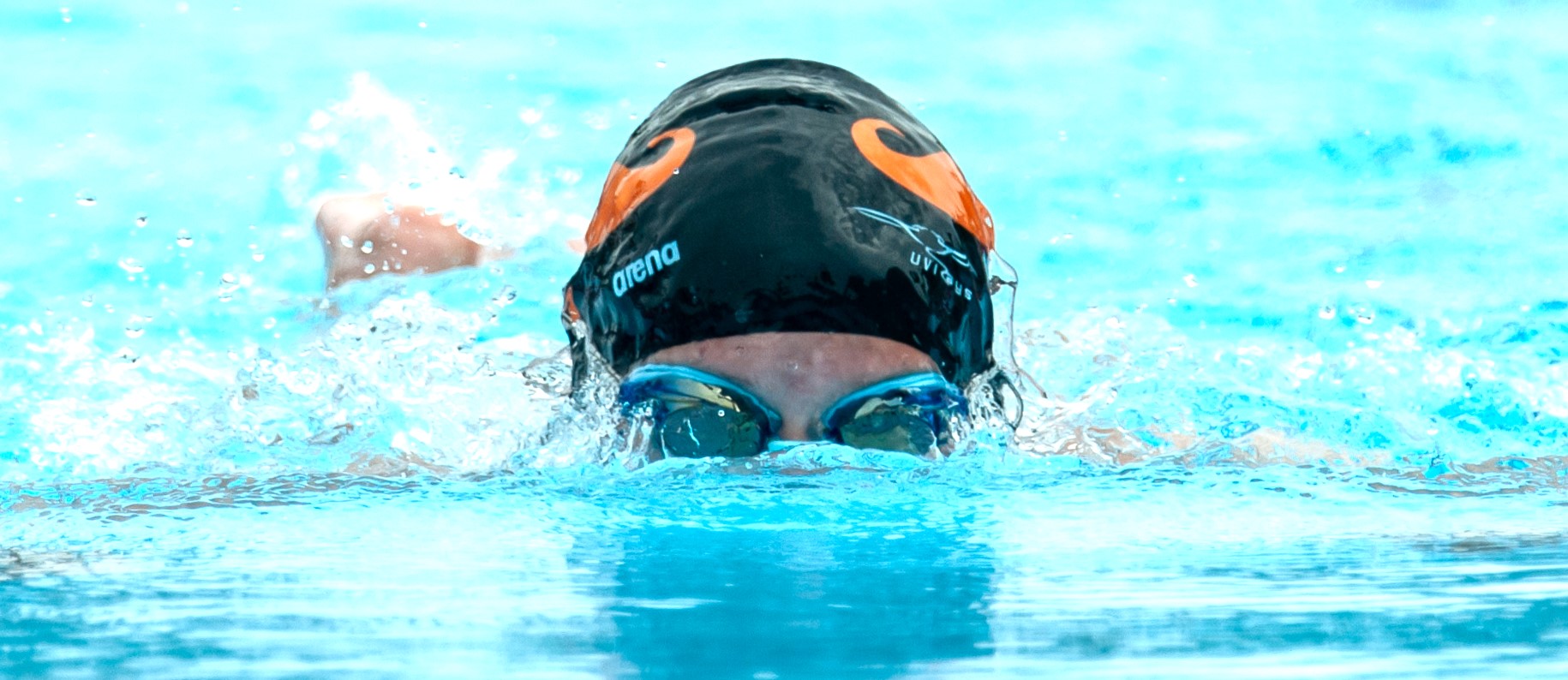 a swimmer's head emerges from the water while swimming the butterfly stroke